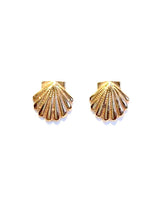 
              Gold shell earring
            